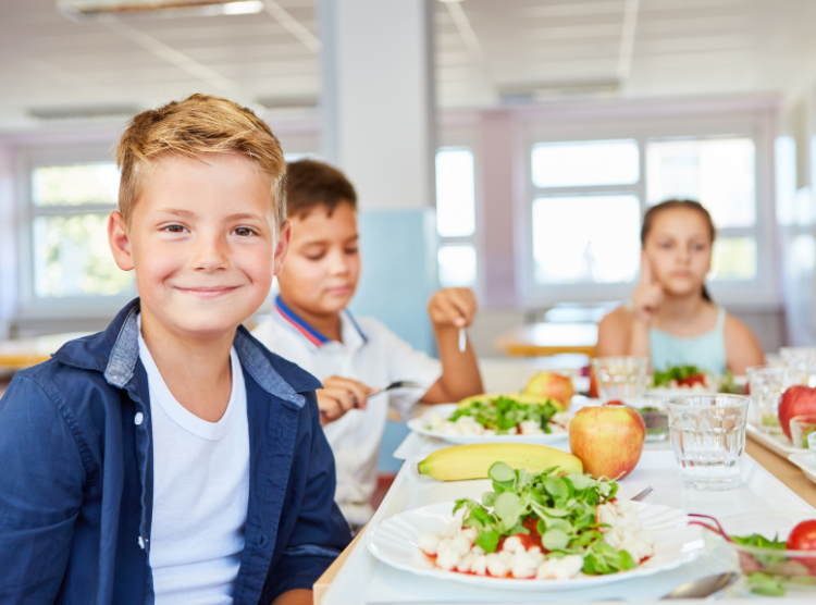 K-12 Lunch Cafeteria HACCP Plan