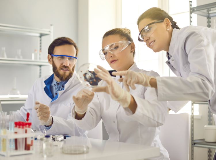 BiopharmaBiotech Research and Development