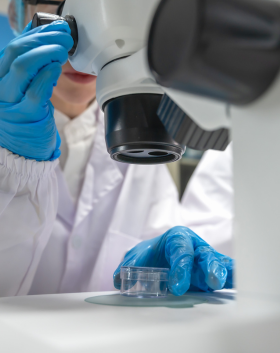 Clinical Laboratories Microscope Header