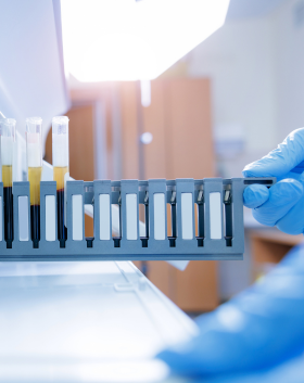 Clinical Laboratories Sliding Header