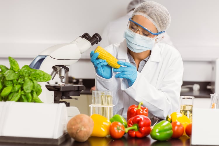 Scientist monitoring food