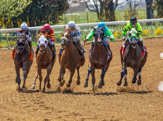 Keeneland Horse Racing - Blog Graphic