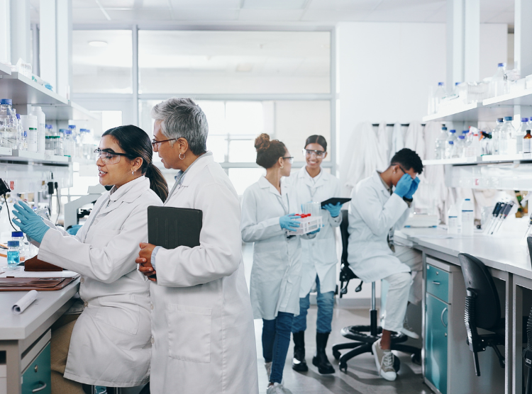 Laboratory team