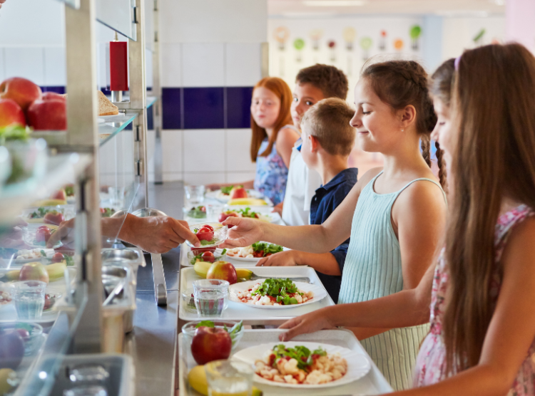 Lunch Line HACCP