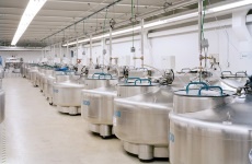 Cryogenic Storage
