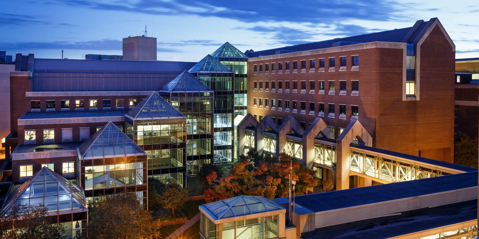 Indiana University on X: New research out of @IUMedSchool looks into the use of emoji among hospital professionals and their role in communication in modern healthcare. More on this study: /