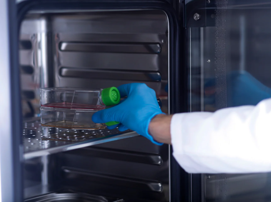 Lab Tech Taking Samples Out of Incubator