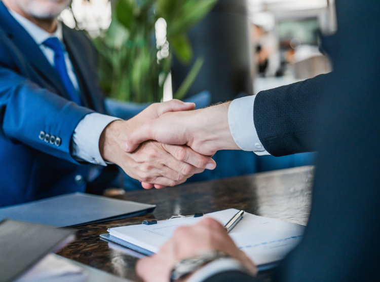 Professional Handshake 